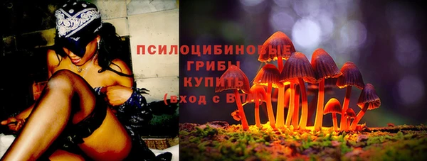 mix Арсеньев