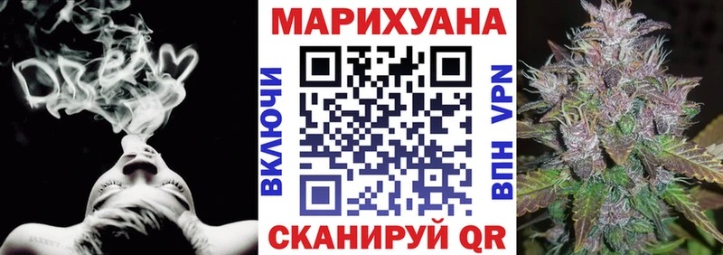 Конопля гибрид Куйбышев